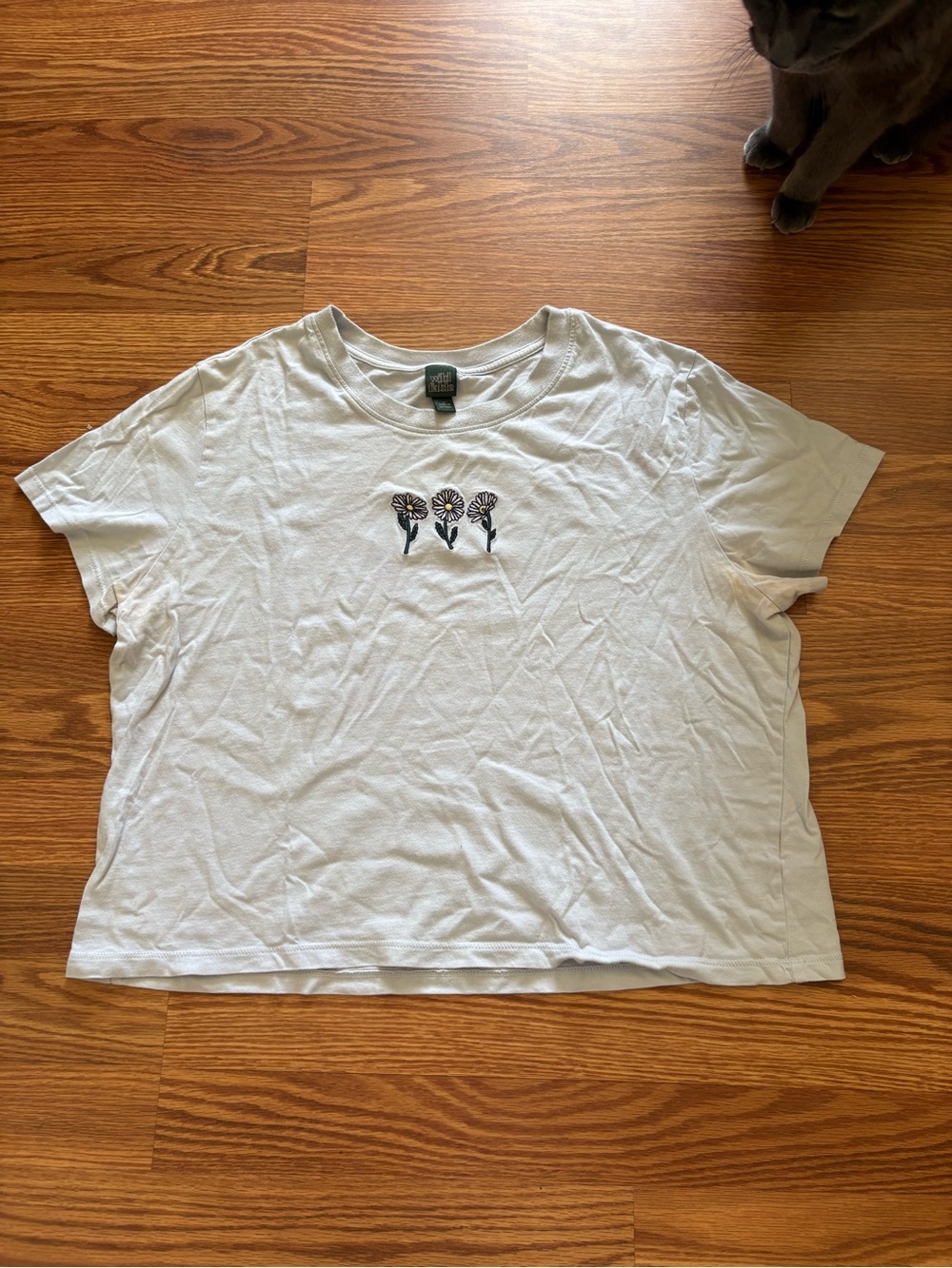 wild fable light blue tee with embroidered daisies